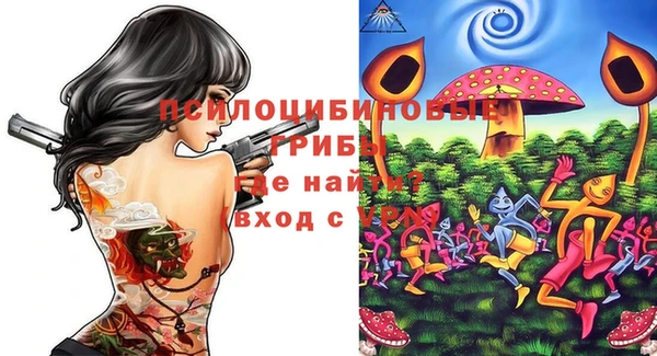 тгк Белокуриха