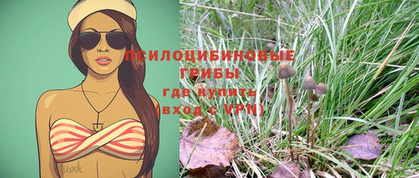 тгк Белокуриха