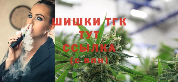 тгк Белокуриха
