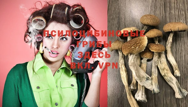 тгк Белокуриха
