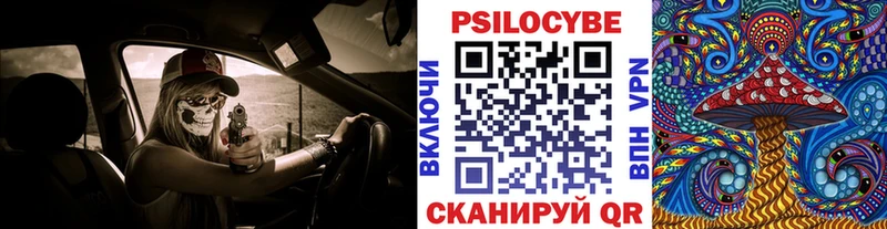 Псилоцибиновые грибы Psilocybine cubensis  omg как зайти  Куса 