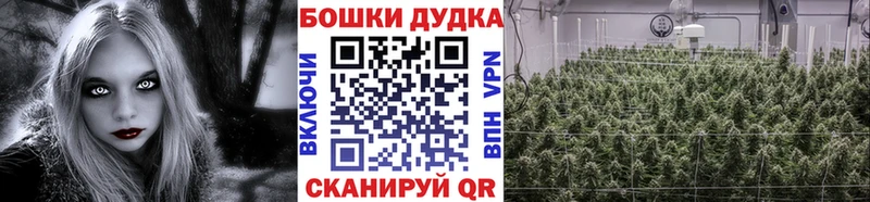 Бошки марихуана индика цена Куса